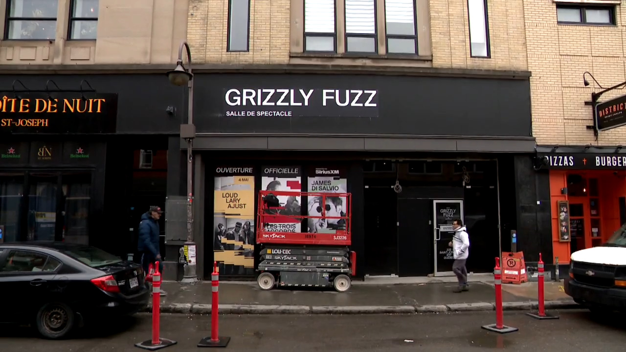 grizzly fuzz